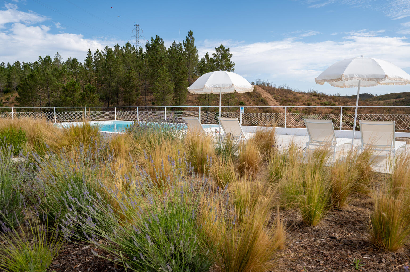 Swimming pool with countryside views at Monte de Torquines Outdoor swimming pool overlooking the Alentejo countryside at Monte de Torquines Casa de Campo